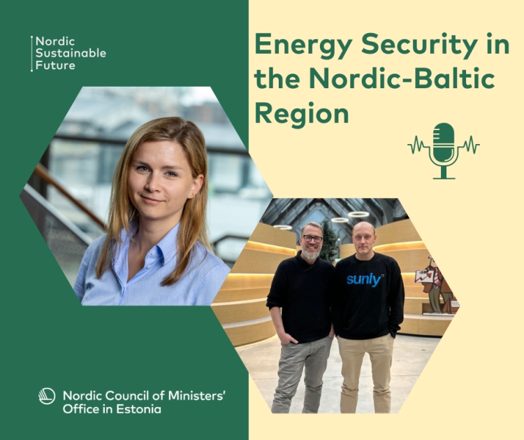 Energiaturvalisus Põhja- ja Baltimaades