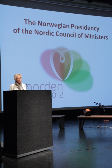 Lise Kleven Grevstad, Norra suursaadik Eestis konverentsil 