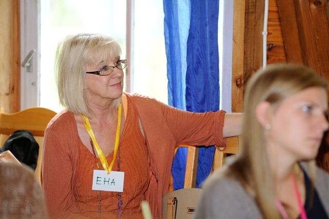 Eha Vain, Põhjamaade Ministrite Nõukogu Eesti esinduse kultuurinõunik