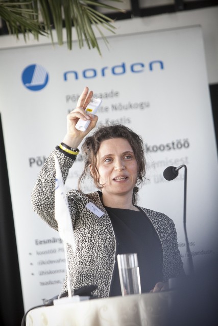 Anna Ekstedt, Läänemeremaade Nõukogu vanemnõunik ja inimkaubanduse vastase töörühma juht