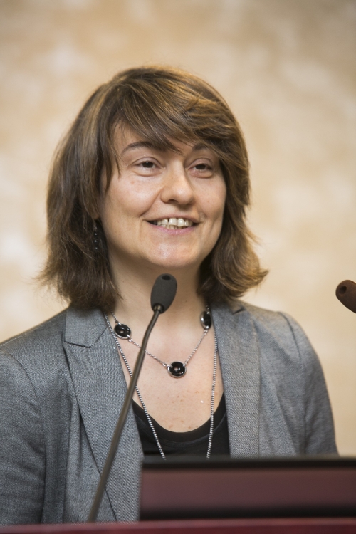 Claudia Canevari, Euroopa Komisjoni energeetika peadirektoraadi osakonnajuhataja asetäitja