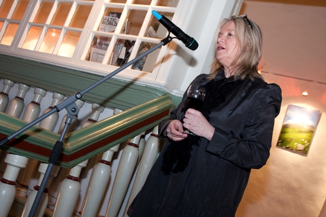 Carita Pettersson, Põhjamaade Ministrite Nõukogu Eesti esinduse juht