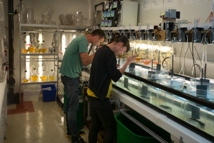 Estonian organisations also able to take part in Nordic Gender Equality Fund projects as co-applicants (deadline: 31 March)