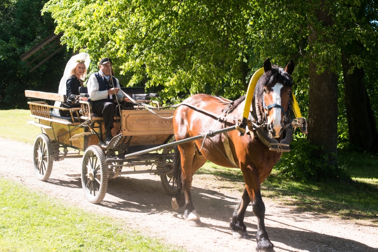 Fotogalerii: Põhjamaade jaanipäev 2016