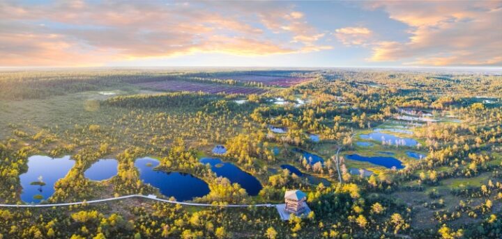 105th anniversary of the Republic of Estonia