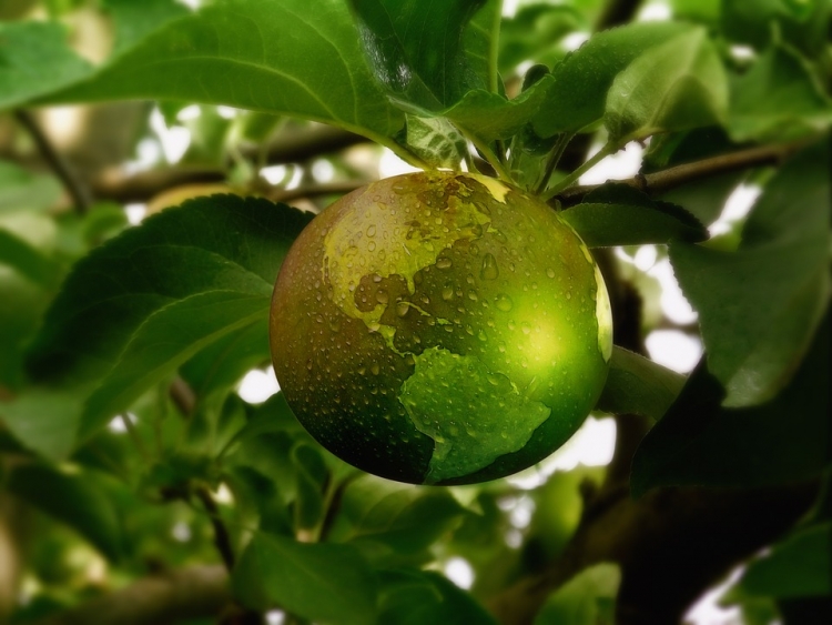 This year the Nordic Council of Ministers’ Office in Estonia is focusing on sustainability