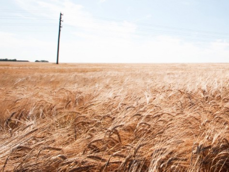 Värske võrguväljaanne Green Growth the Nordic Way: biorafineerimistehased ja uus biomajandus