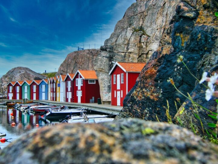 Nordic Embassy Cooperation Programme opens up for applications