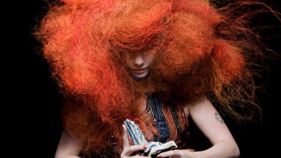 Iceland launched Biophilia and made the world enjoy new Nordic music