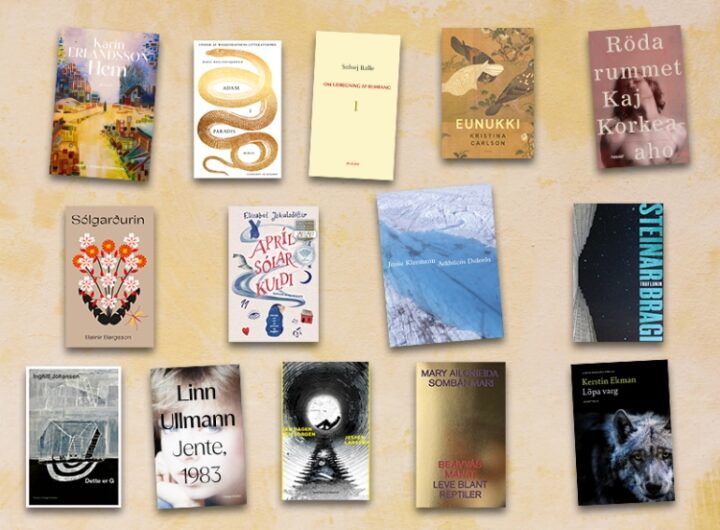 The 14 Nominees for the Nordic Literature Prize Focus on Love, Power, and Exclusion