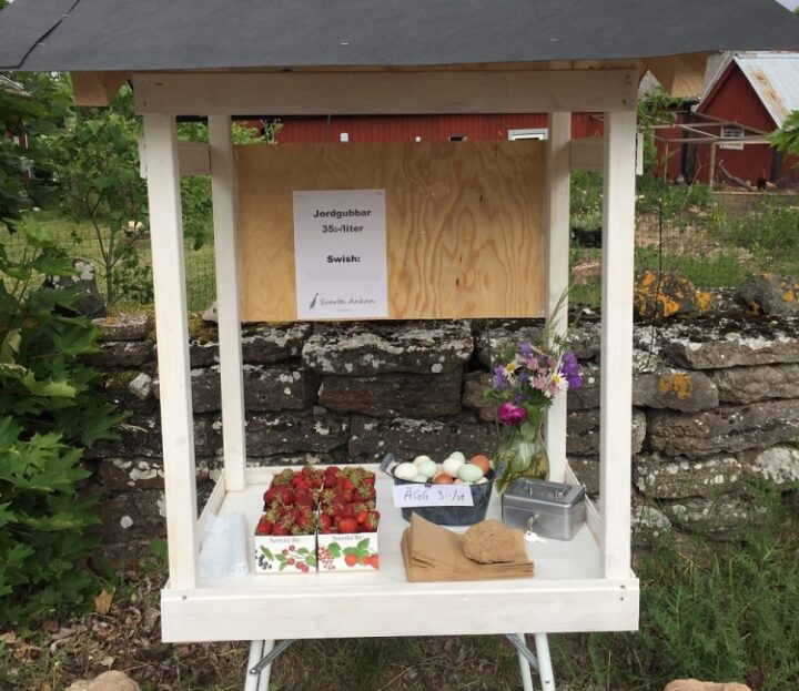 Street-side stand for eggs and strawberries with no vendor, operating on a system of trust